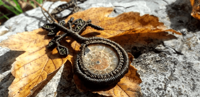 Collier arbre • ammonite