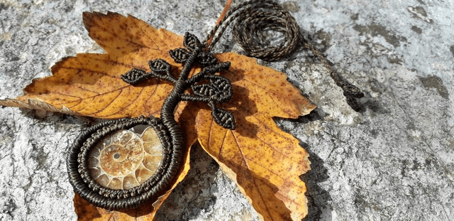 Collier arbre • ammonite
