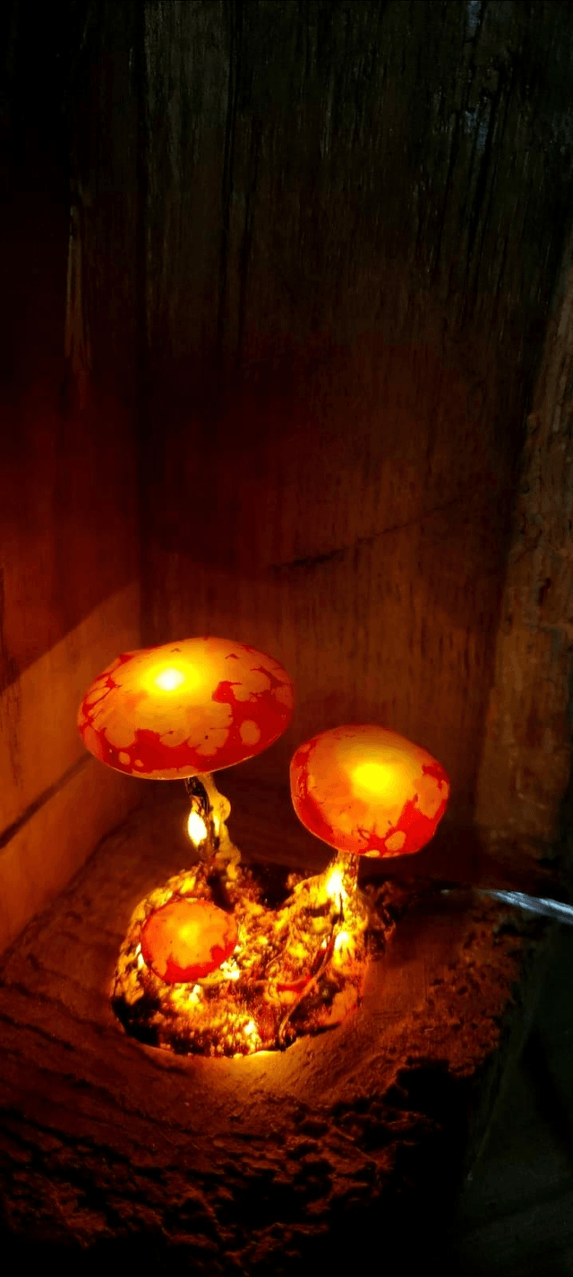 Luminaire champis🍄orange