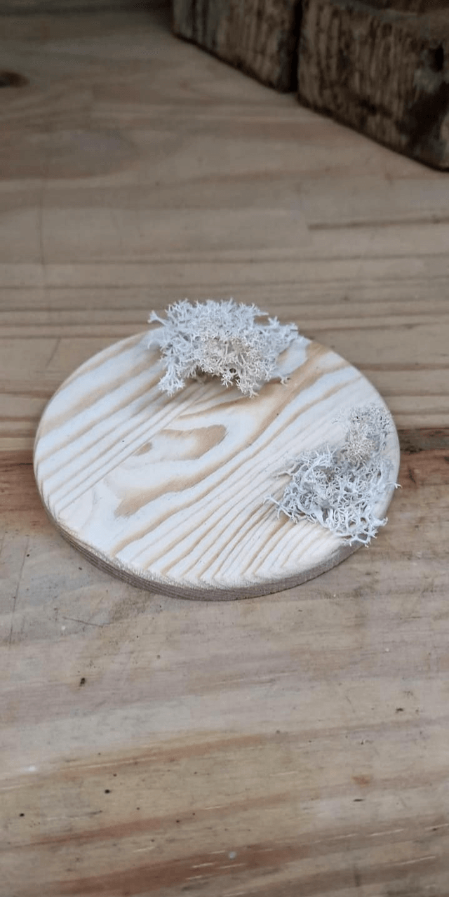 Luminaire champis 🍄 amanite 