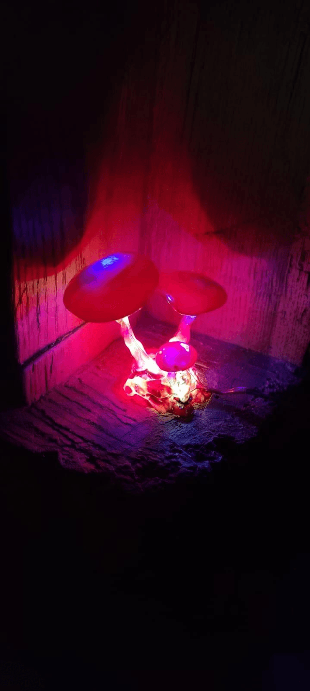 Luminaire champis 🍄 rouge bordeaux