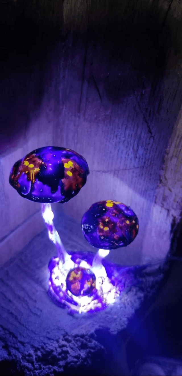 Luminaire champis🍄violet